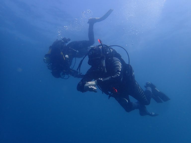 Discover Scuba Diving - With this experience you will have first hand the contact with the autonomous diving equipment and some of the techniques used during the practice of the sport.